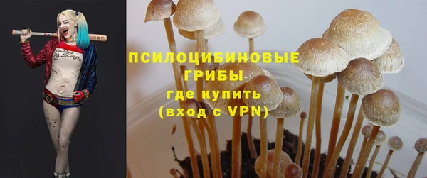 дурь Снежинск