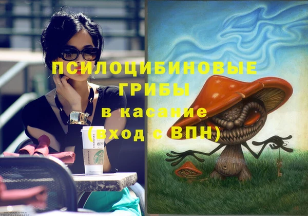 винт Снежногорск